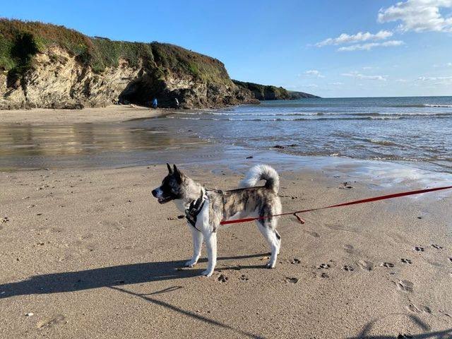 Karen Field tweet media