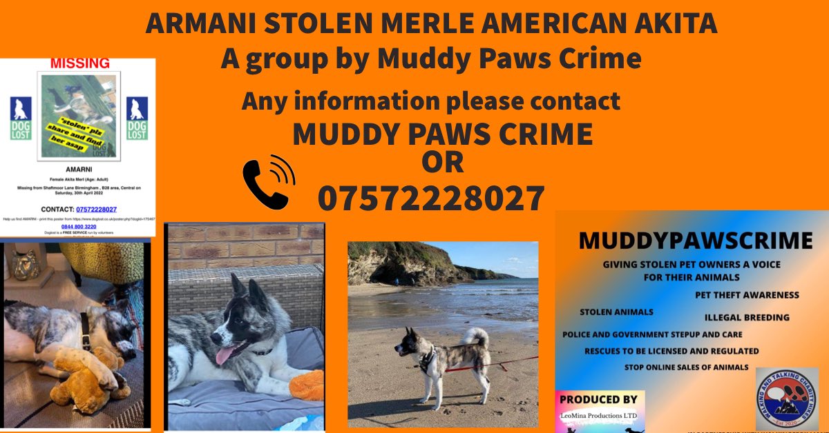 Karen Field tweet media