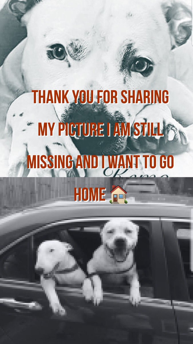 tahoe leigh🐎 tweet media