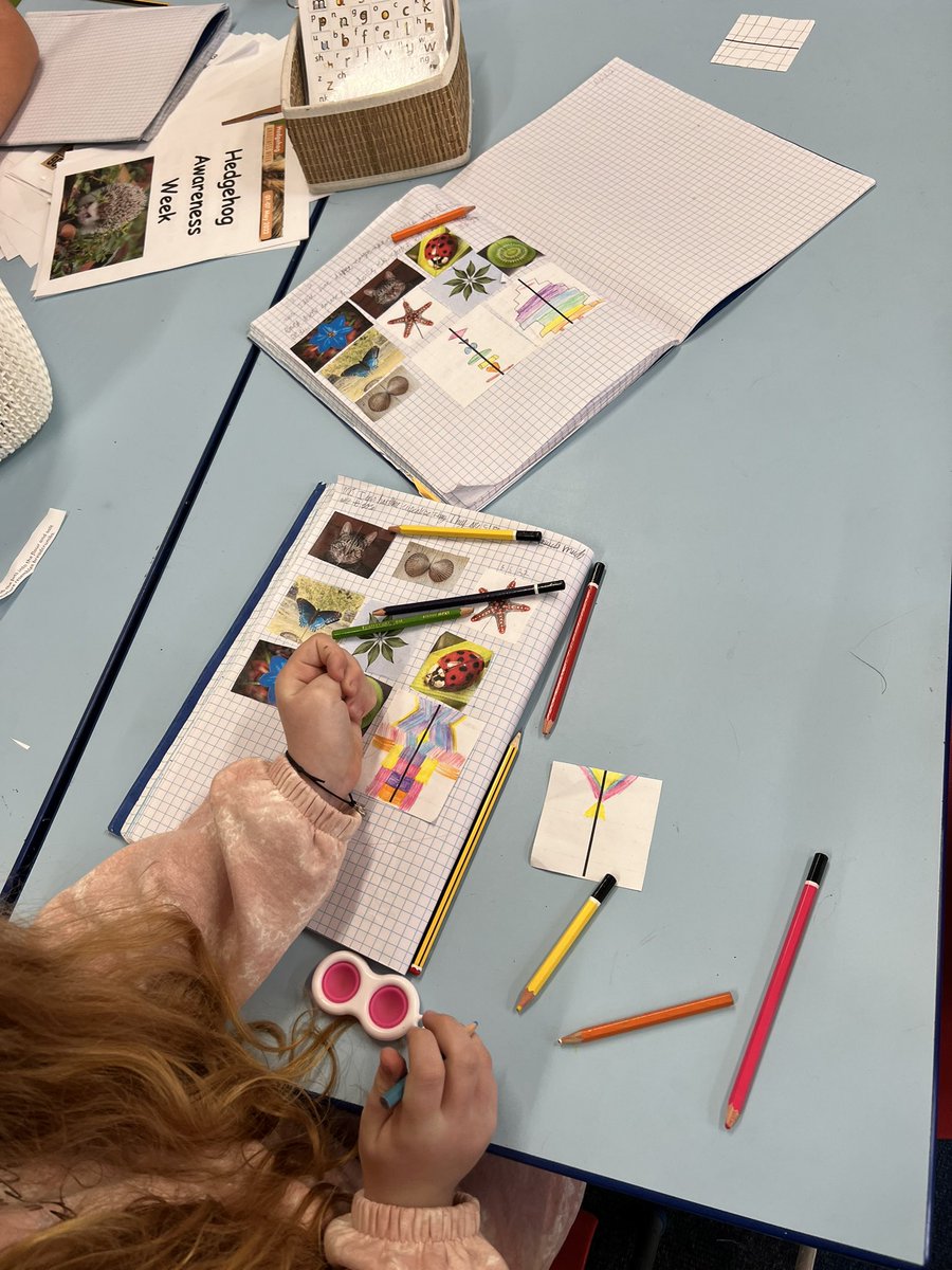 TerraceRoad's tweet photo. #TRPhedgehogs have been practising our symmetry skills this morning. We have been challenging ourselves by looking at tricky lines of symmetry. #TRPmath https://t.co/AmJOcQIuRw