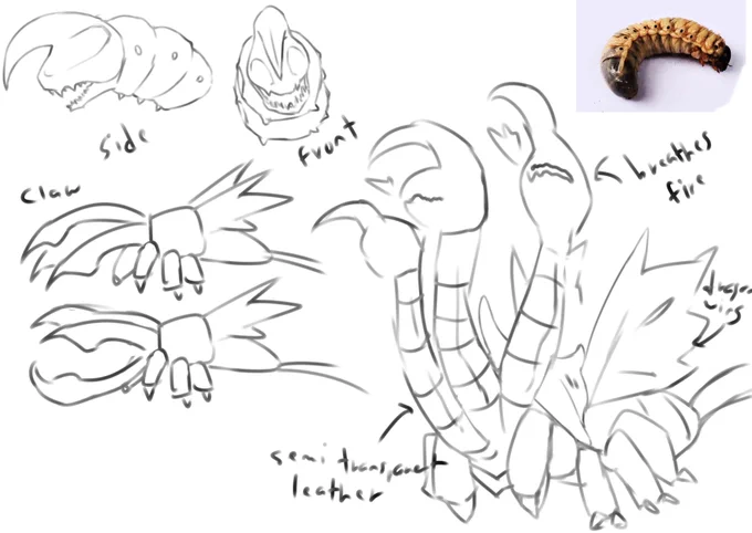 Random doodle for a sorta kinda dragon based on coconut grubs🤷 