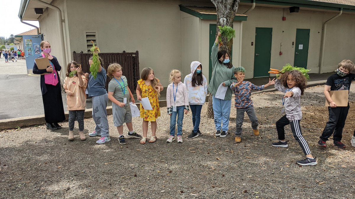 My students were very happy to finally harvest carrots this week! #UELFGarden <a href="/UELF_PTA/">UELF PTA</a> <a href="/UELFSEAWOLVES1/">UELFSEAWOLVES</a> @schoolgardens <a href="/readygrowgarden/">Ready to Grow Garden</a> <a href="/CaEEI/">California EEI</a> <a href="/sanctuaries/">Sanctuaries (NOAA)</a> <a href="/NOAA/">NOAA</a> <a href="/LagunaFnd/">Laguna Foundation</a> <a href="/SGSONetwork/">SGSONetwork</a> <a href="/Kids_Gardening/">KidsGardening</a> <a href="/epicgardening/">Epic Gardening</a> <a href="/sonomawater/">Sonoma Water</a> <a href="/Proud2BeCRPUSD/">CRPUSD</a> <a href="/School_Garden/">SchoolGardenProject</a>