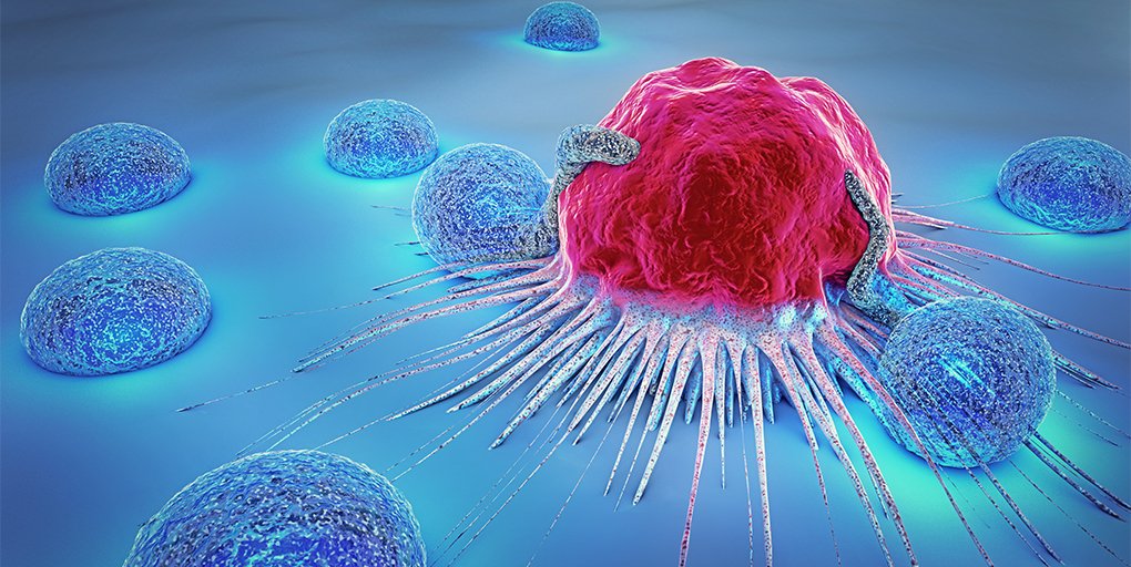CD_AACR's tweet photo. Read this week's Cancer Discovery #ResearchWatch: Targeting Mitochondrial Apoptosis Improves NK cell-Based Immunotherapies, summarizing the work of @RongqingP, @DrTonyLetai et al.
https://t.co/Tfmm48H8HB
@DanaFarber @harvardmed https://t.co/9Viq1ZhqEd