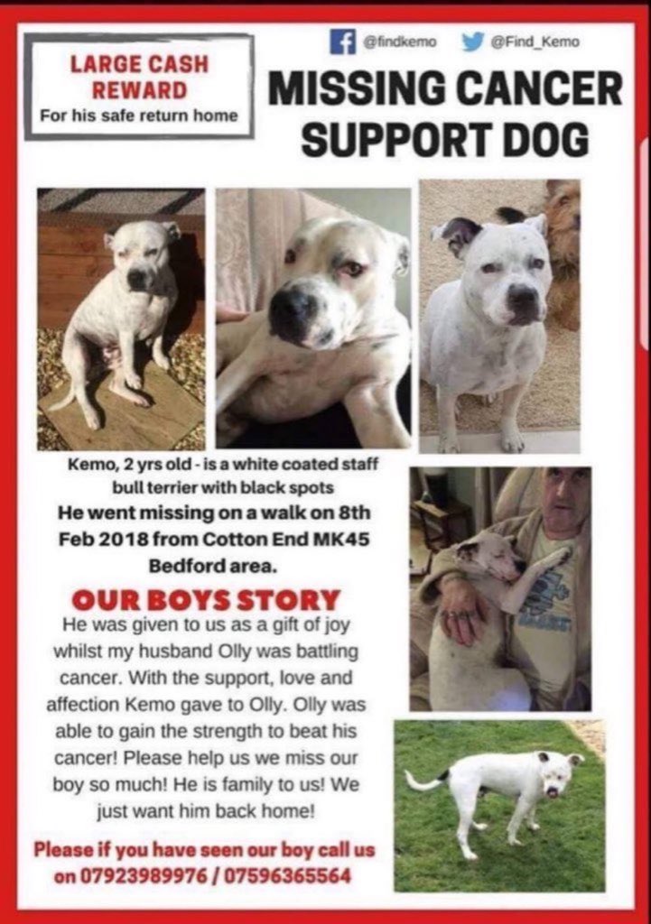 tahoe leigh🐎 tweet media