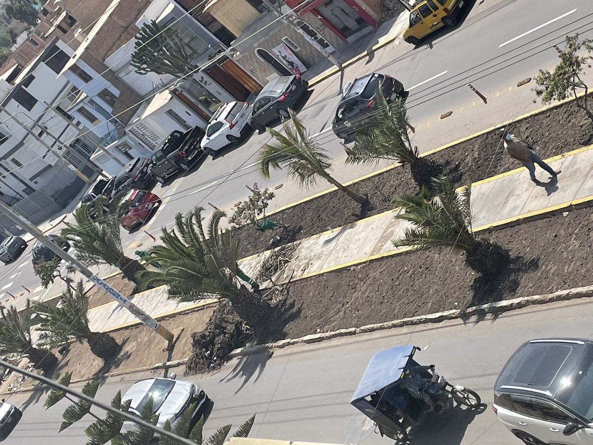 MartinPiscoya2's tweet photo. Qué tal embellecimiento de la avenida Zarumilla …. En lugar de embellecer la ciudad la empeoran  … y ahora 🤔🤔🤔🤔 https://t.co/V4mz3ZePIK