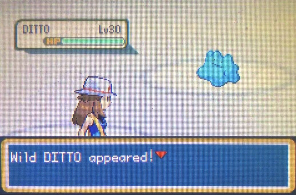 _willkyu_'s tweet photo. 85hours! Finally! Love this blue ditto ❤️! https://t.co/6rhtbsMh4r