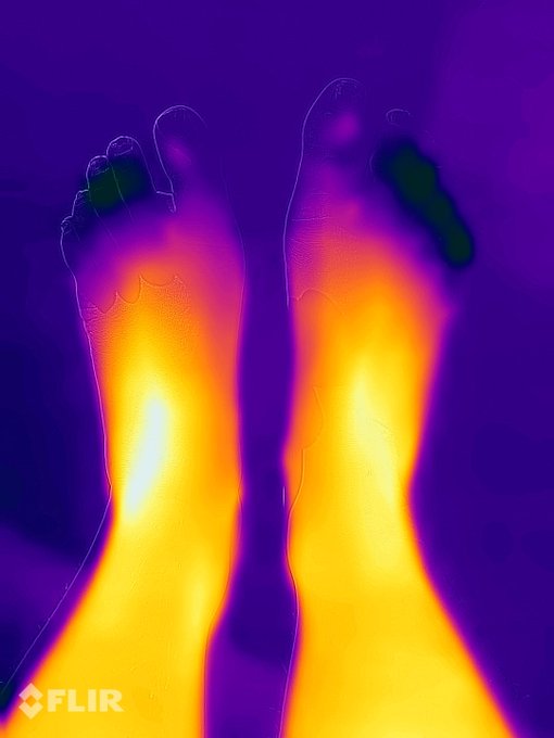 I think my toes should be warmed up, preferably by some gentle sucking (⁰ᴥ<✿) https://t.co/EdeeCDPHHj #feetlicking<a href="/tag/feetworship"class="tags"><span>#feetworship</span></a><a href="/tag/feetlicking"class="tags"><span>#feetlicking</span></a><a href="/tag/onlyfans"class="tags"><span>#onlyfans</span></a><a href="/tag/sellingcontent"class="tags"><span>#sellingcontent</span></a>