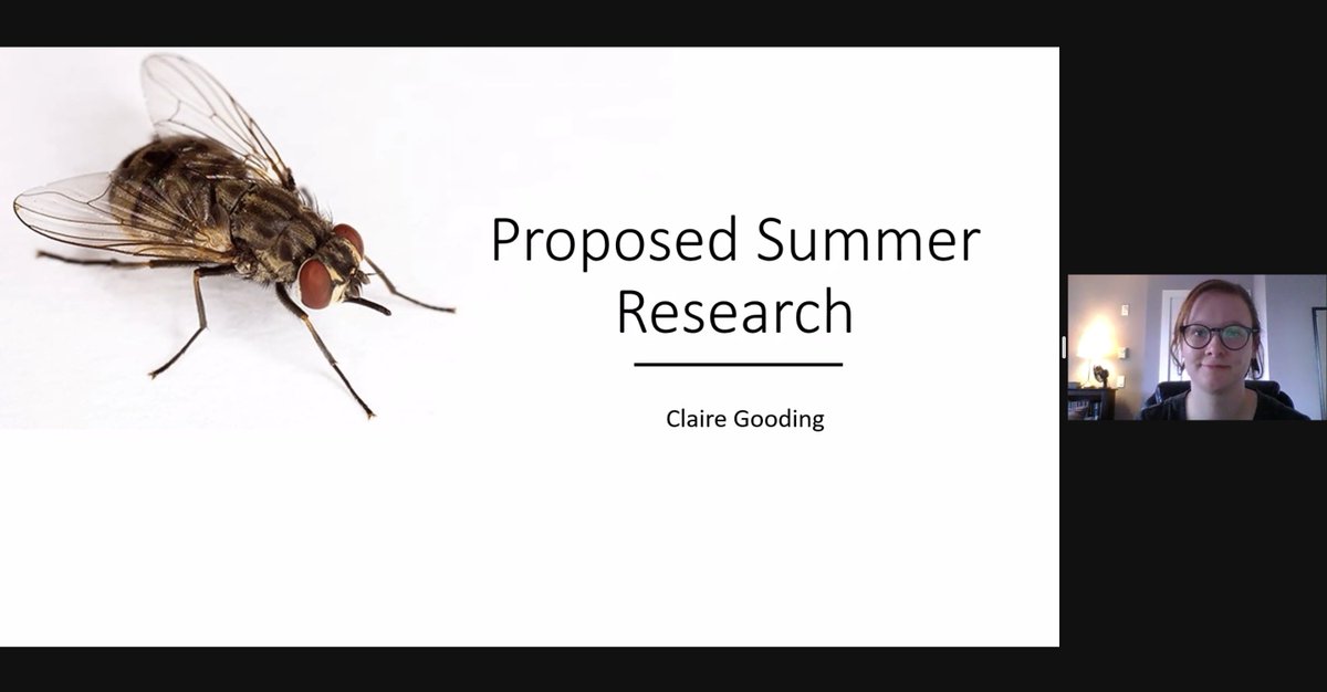 Gries Lab tweet media