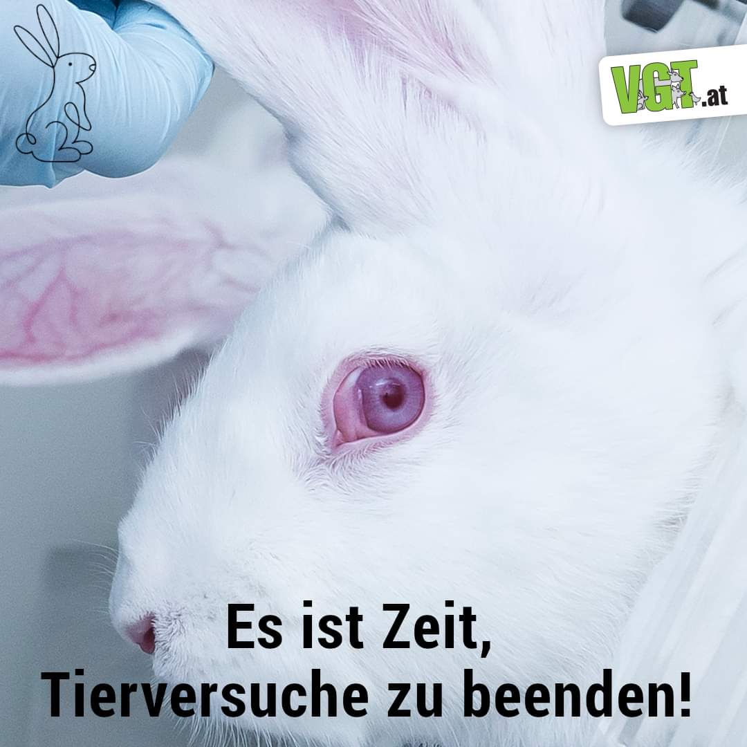 vgt_at's tweet photo. Weil das Tierversuchverbot für Kosmetika von anderen Verordnungen untergraben wird, wird es für Unternehmen zunehmend schwieriger, tierversuchsfreie Produkte herzustellen. Jetzt unterschreiben auf: https://t.co/IAQO4lB9GW
#EndAnimalTesting #SignToSupport #UseScienceNotAnimals !B https://t.co/EuRdp0ulxn