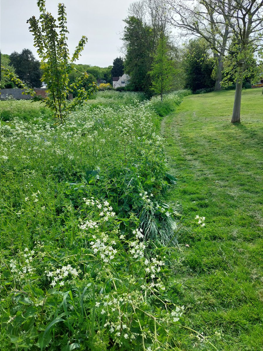 My client asked if we could have our session walking using the phone today. It was good to notice the difference in the clients thinking and how my attention was challenged. It was lovely to be outside ☺️ 
#coaching #walkingcoaching