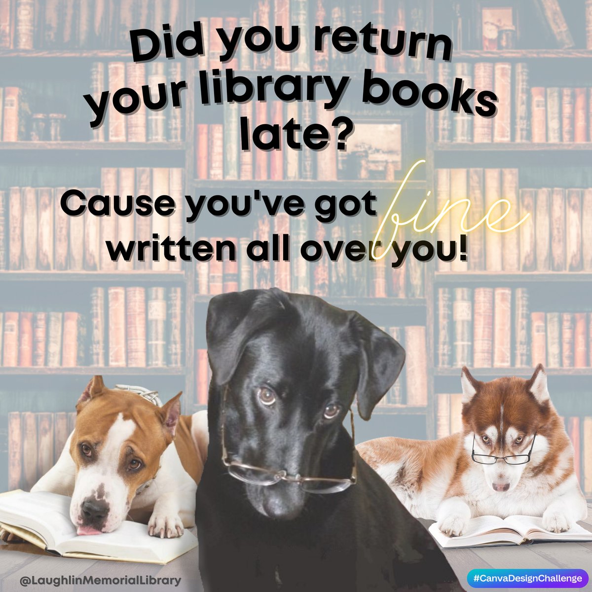 WapitiLibrary tweet picture