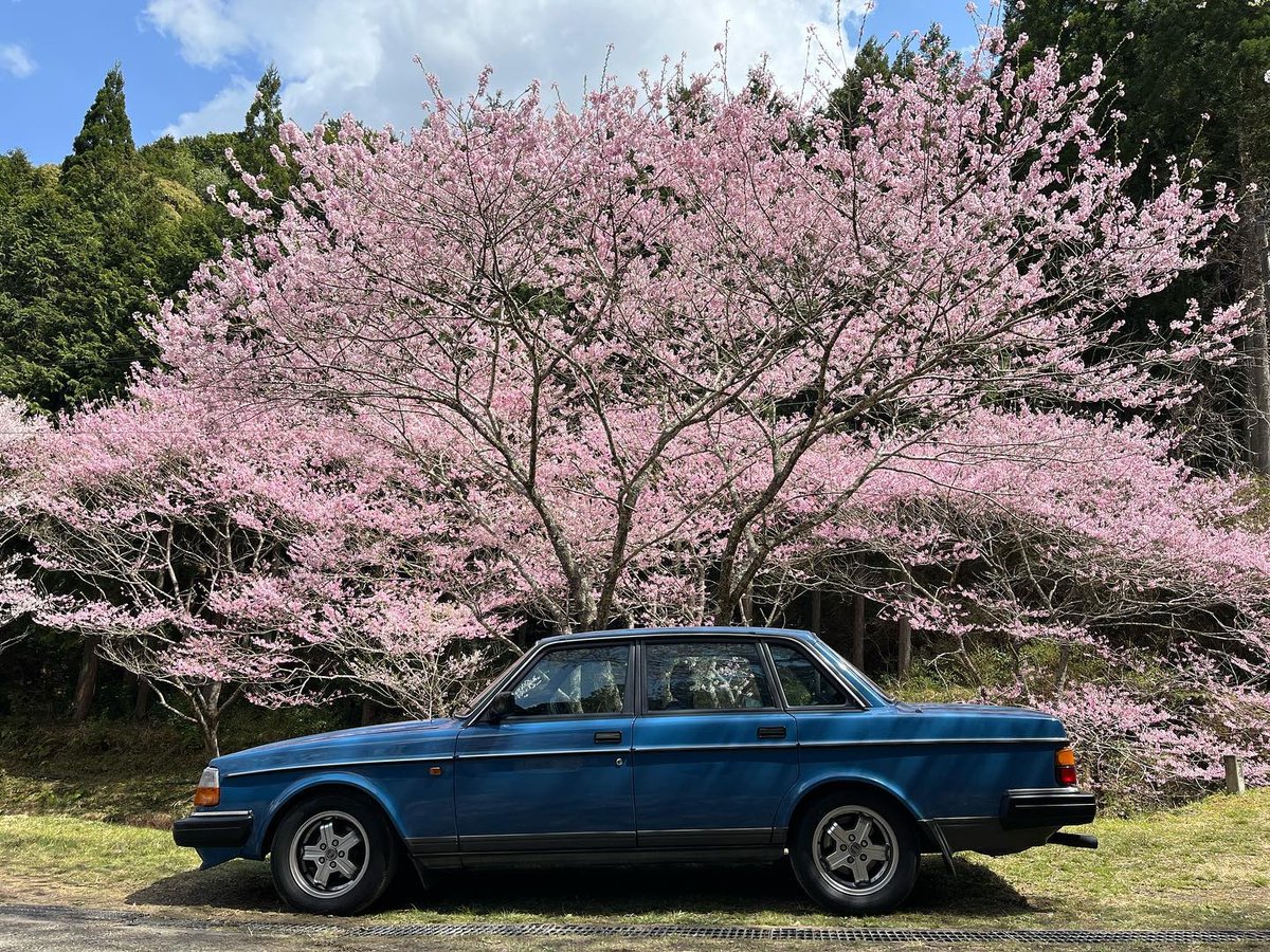 SwedishBM's tweet photo. 🇸🇪 The home of Swedish Car Culture and Merchandise 🇸🇪⁠

⁠👤: @midblue240

#volvo240 #volvo244 #volvo242 #volvstagram #volvostagram #swedishmetal #swedehunters #redblock #swedishboostmafia #svenskbilcultur https://t.co/bPqxybmwoP