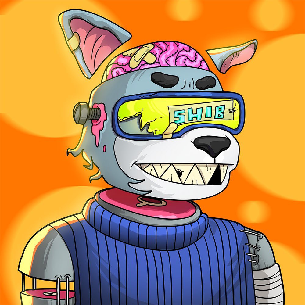 𝕕𝕣𝕖𝕞𝕪 tweet media