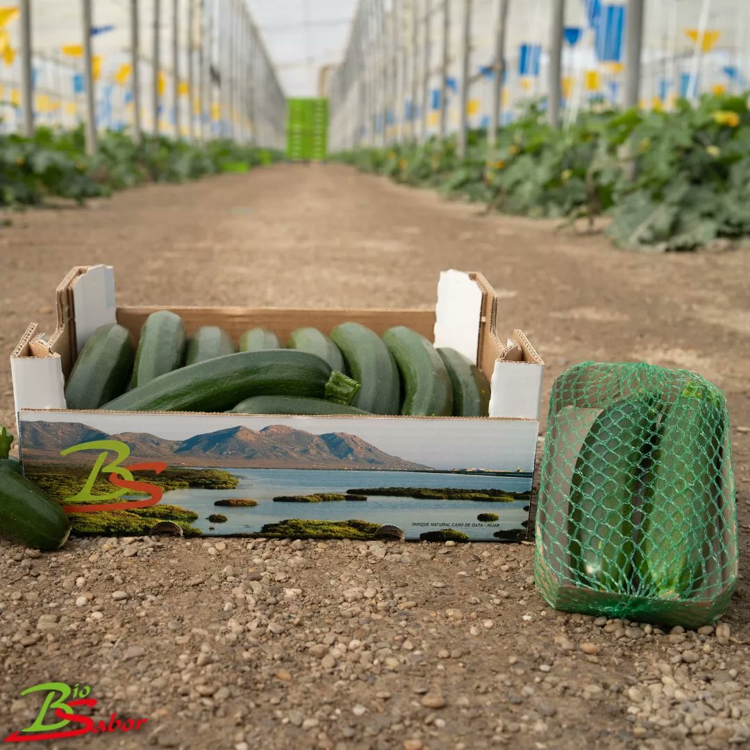 biosabor_agro's tweet photo. ¿Te gusta la verdura #ecológica directamente de agricultores? En la web https://t.co/Y7hNhgHkSr la puedes comprar de forma fácil y sencilla. https://t.co/4NqO9Q8O0Y