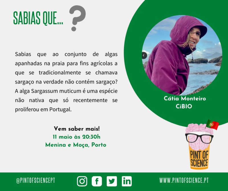 pintofsciencePT's tweet photo. Cátia Monteiro vem falar-nos sobre algas e praias rochosas. 🪸
11 de Maio, às 20:30, no Menina e Moça.
#pint22 #pintworld #posPT #porto #cartaz #scicomm #scicommpt #onossomundo #ciencia #sciencefiction https://t.co/BqsdhYr18J
