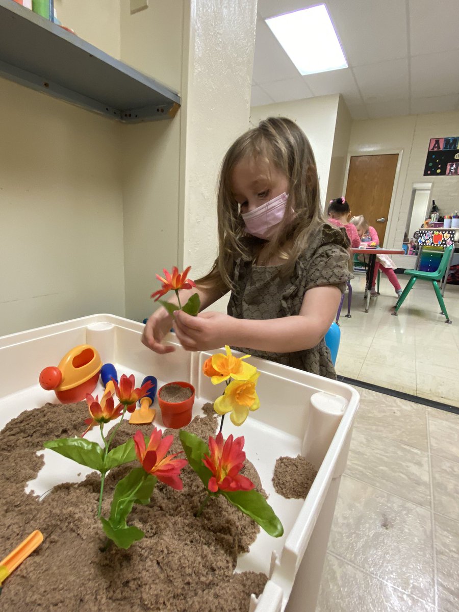 bssgr1's tweet photo. Plant Week in PreK-3!Click the Seesaw link to see more!

https://t.co/UMAkkVanNw https://t.co/PjbF6fMX4v