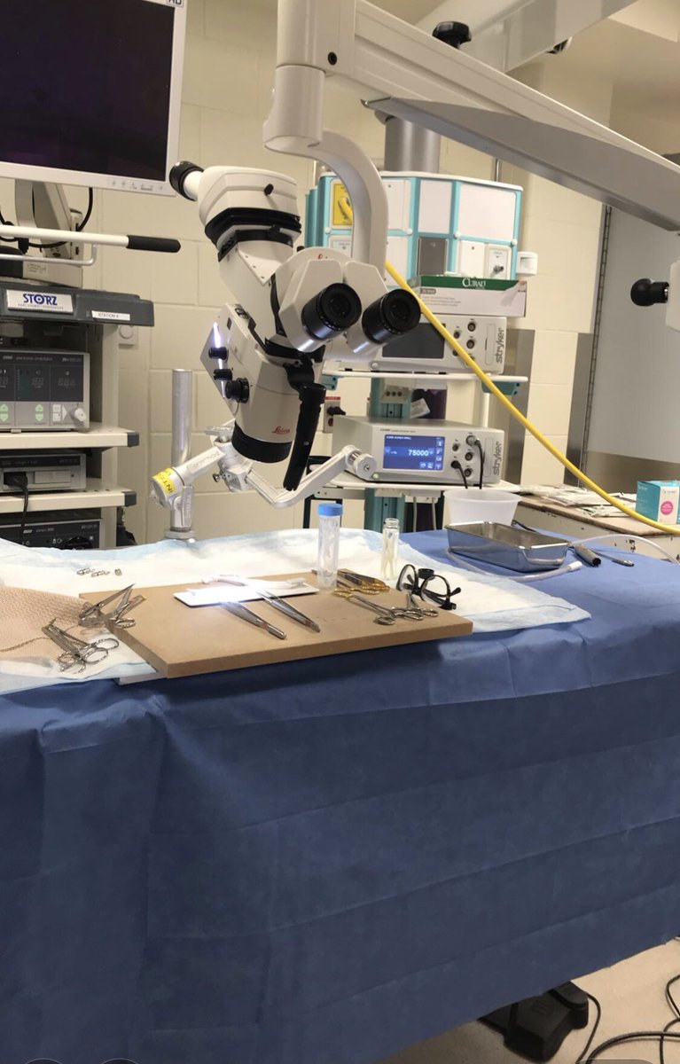 World #Moyamoya Day.

No better time to practice #Microanastomosis #Microsurgery