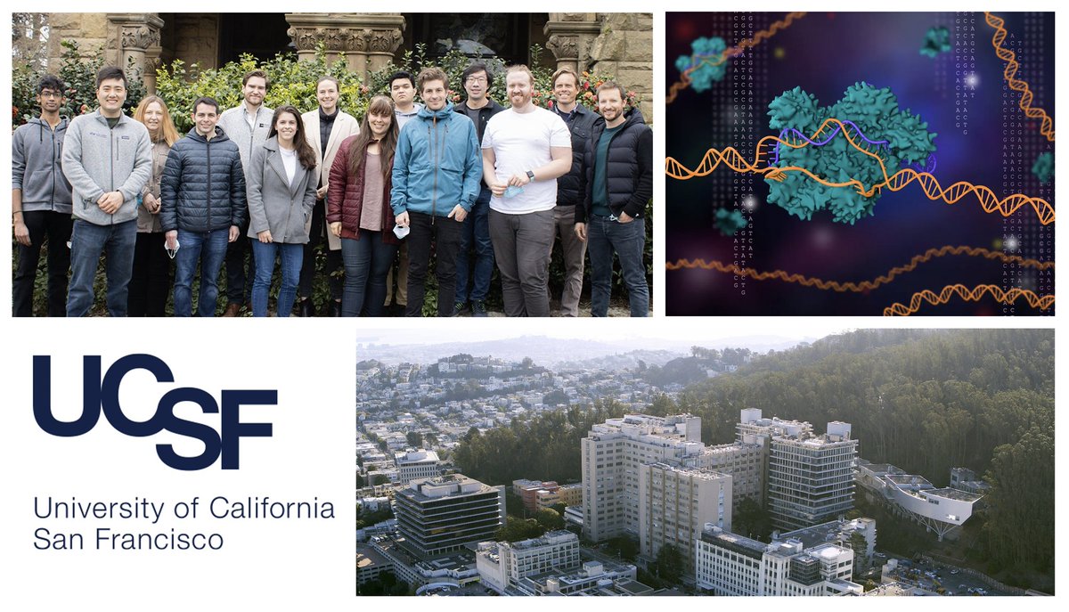 Daniel Bryan Goodman (@dbgoodman) on Twitter photo Why test #celltherapies one-by-one when you can use #SynBio to design, learn, and iterate on thousands in parallel? Our team <a href="/UCSF/">UC San Francisco</a> @MarsonLab <a href="/roybal_lab/">Roybal Lab</a> is #hiring a wetlab technician to help build the next revolution in genetically engineered medicine! DM for info & please RT! Why test #celltherapies one-by-one when you can use #SynBio to design, learn, and iterate on thousands in parallel? Our team <a href="/UCSF/">UC San Francisco</a> @MarsonLab <a href="/roybal_lab/">Roybal Lab</a> is #hiring a wetlab technician to help build the next revolution in genetically engineered medicine! DM for info & please RT!