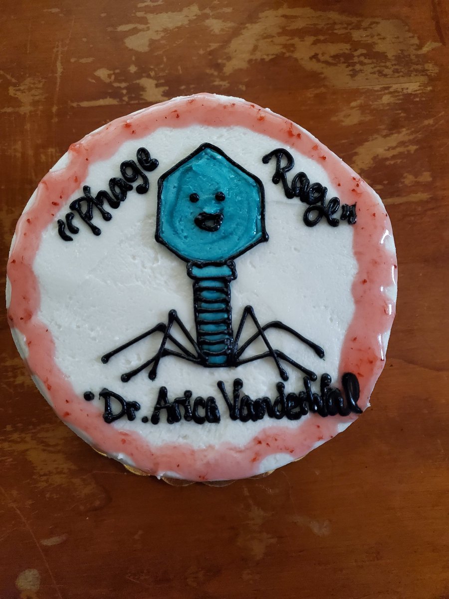 arica_vanderwal's tweet photo. It's tradition in my grad school friend group to present a defense cake with a memorable quote of the graduating friend. Today, my friends presented me with "Phage Rage" 😆. They know me so well! 🥰 #phagerage https://t.co/OQVXzuGGh9