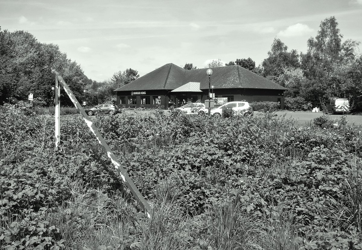 scullridge's tweet photo. Former Little Chef now struggling Burger King slowly being reclaimed by nature #Sutterton yesterday https://t.co/68G0iBdmxu