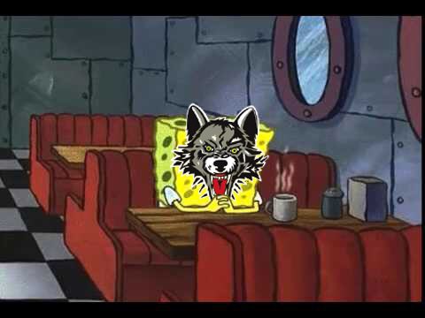 Chicago_Wolves's tweet photo. Still here, incase anyone was wondering.
#HappyByeWeek https://t.co/vwcqnkQNlz