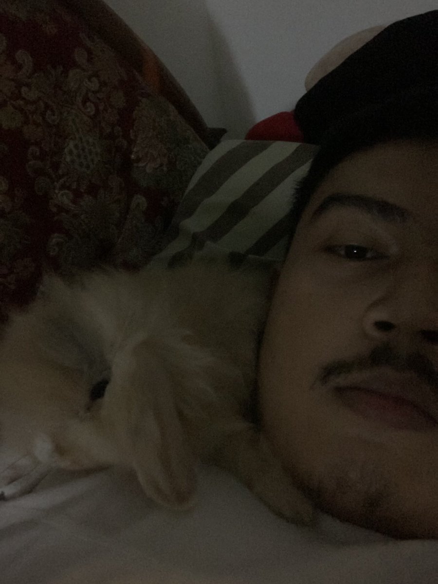 MasBabba's tweet photo. @bearonee anak baba nambah kinci.. makin cakep ga ? 🐰 xixixi https://t.co/oBoHP92hdW