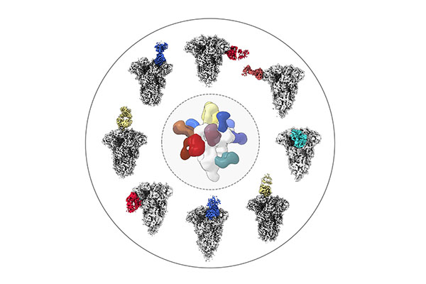 Scripps Research tweet media