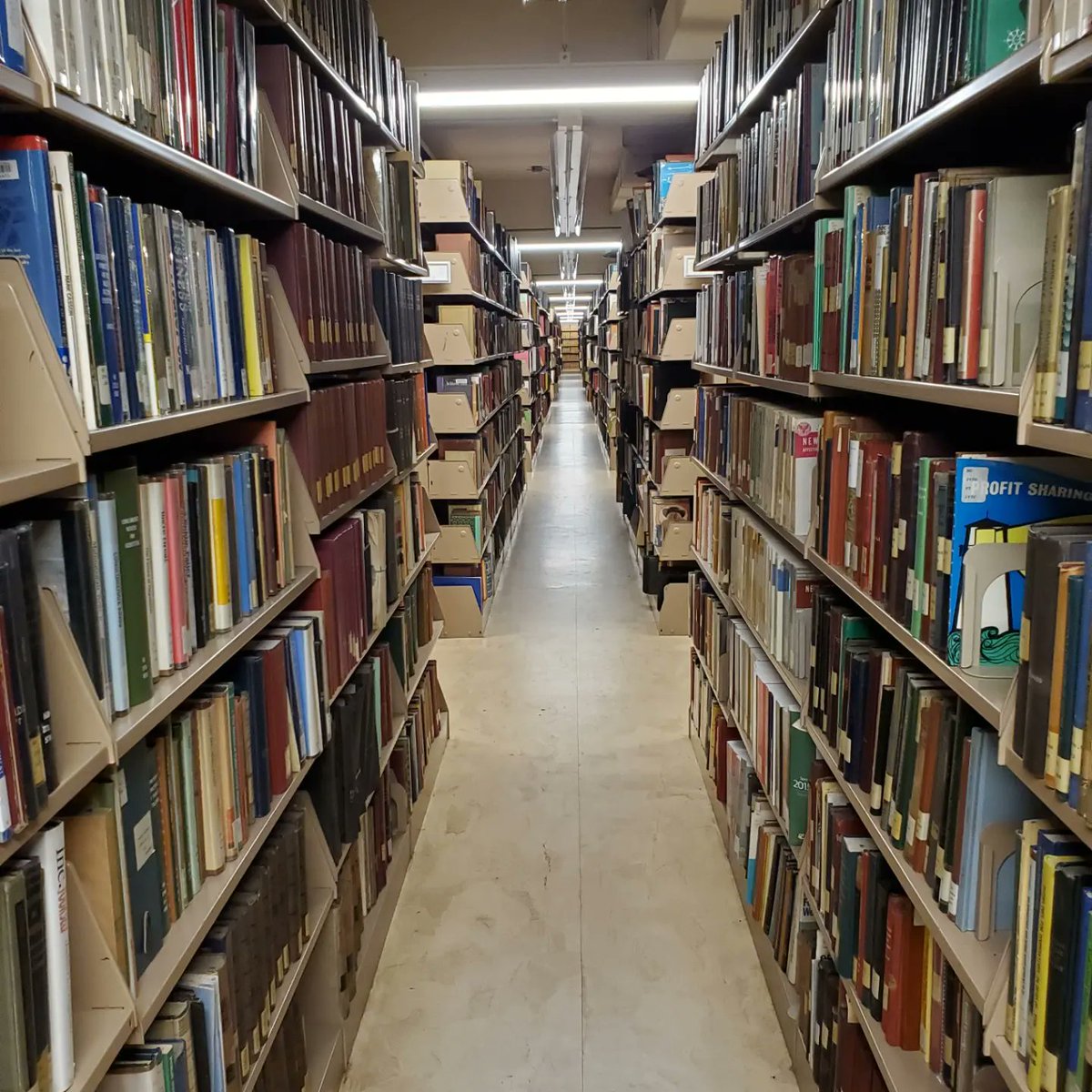 markpoloncarz's tweet photo. It's a hidden place in Erie County with all the books. Literally, it feels like it has all the books, there are millions of them. Where was I? https://t.co/gdcYzVvt5T