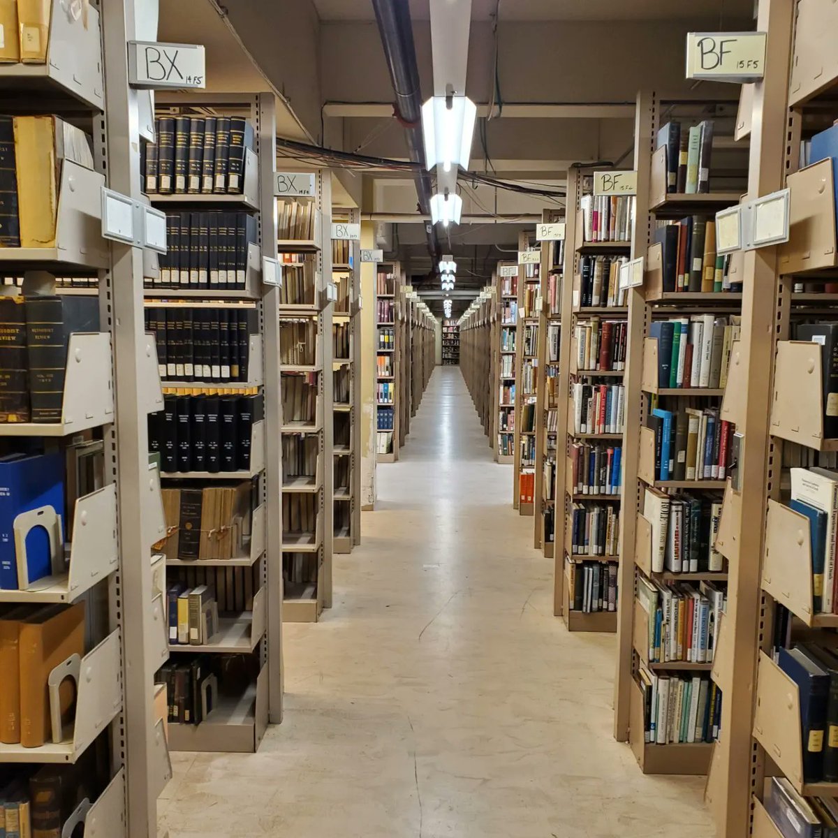 markpoloncarz's tweet photo. It's a hidden place in Erie County with all the books. Literally, it feels like it has all the books, there are millions of them. Where was I? https://t.co/gdcYzVvt5T