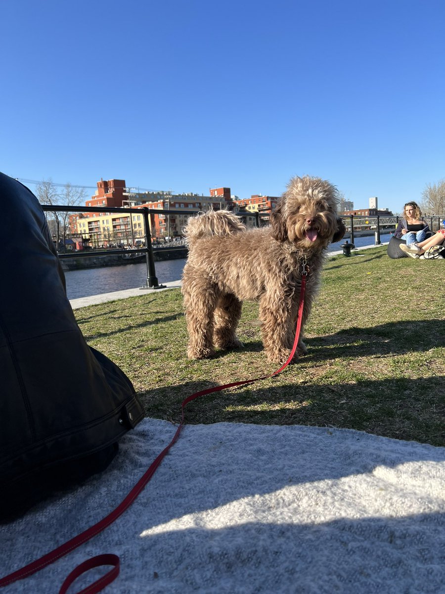 Danaxeth tweet media