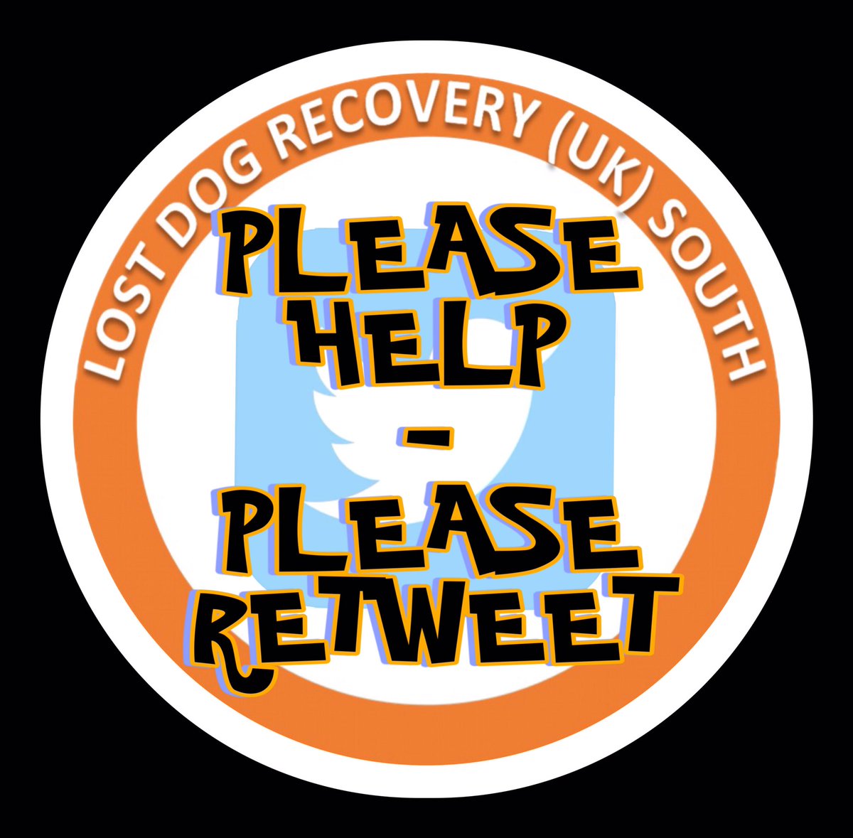 Lost Dog Recovery UK South tweet media
