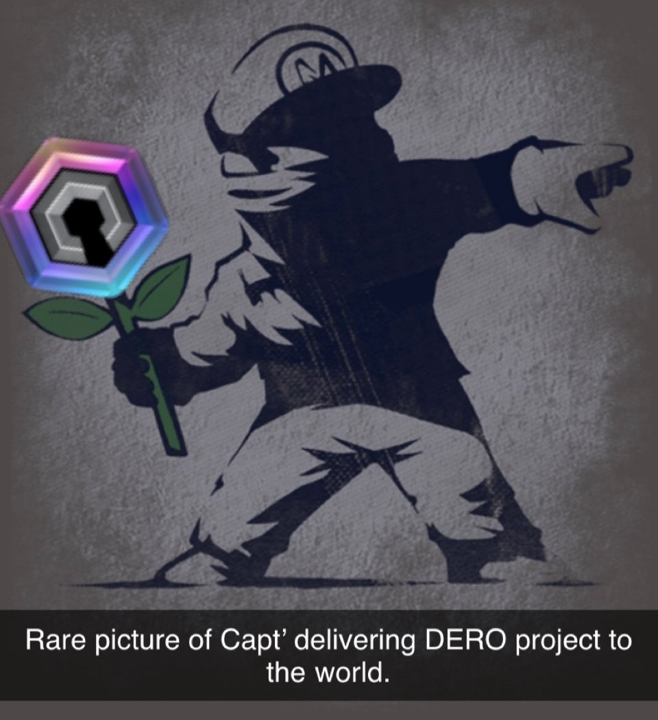 chakipu's tweet photo. Le vent tourne et $dero s’en vient avec ses premières dApps. 
User friendly. Adoption de masse en vue. Et la@narrative privacy … 
#dero a de beaux jours à venir. 
#TechNotHype , ça fait une fvcking différence. https://t.co/fNy6IMmubA