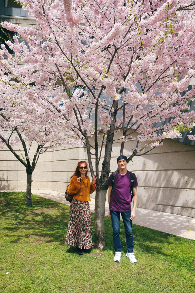 KatrinRayArt's tweet photo. Sakura is blooming in Toronto!
Enjoyed a long walk around the city to spot cherry blossoms. 
Trinity-Bellwood Park offers the most engaging display with CN tower bonus :-)

#Sakura #Toronto #CherryBlossoms #CNtower #SpringTO #TorontoArt #TorontoLife https://t.co/TcBOTWsAi7