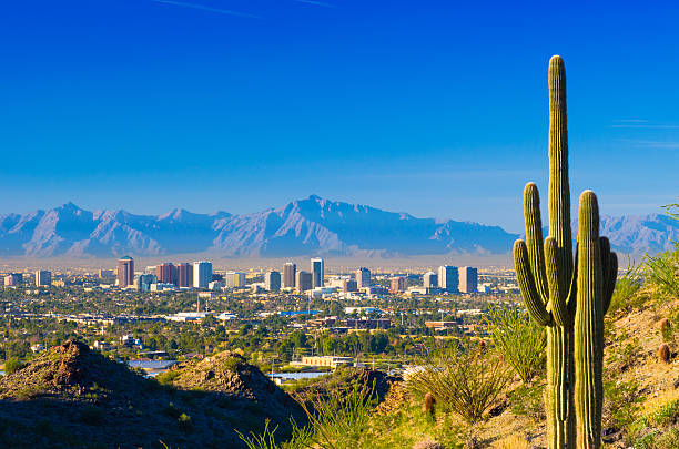 phx__IT's tweet photo. Our Incident Response team is on the case again! Currently assisting a client in the Southwest region of the US with their recovery efforts.
#phxIT #incidentResponse #ransomware #itservices #hustle https://t.co/ih8YrGiNzk
