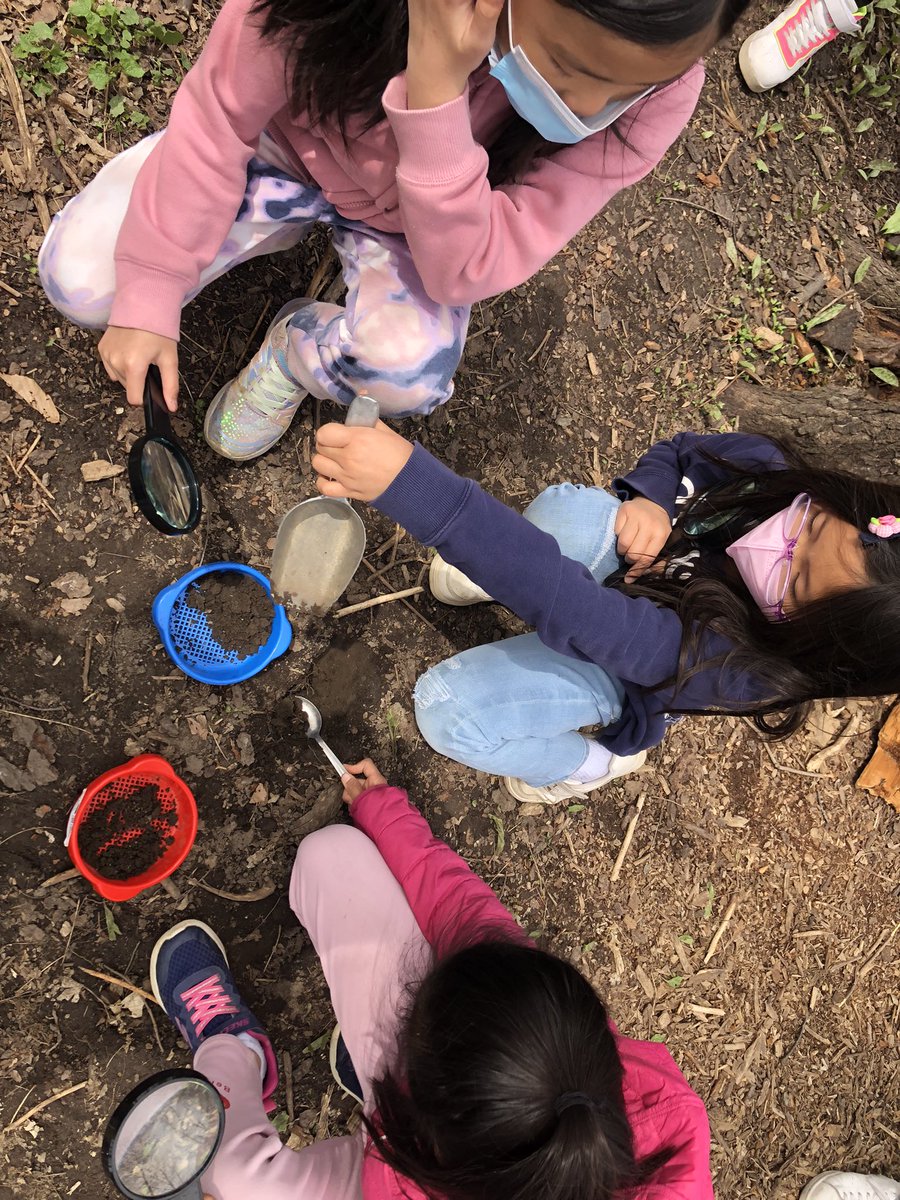 MsJWong1's tweet photo. Love our outdoor forest trips. Seeing students make connections to what we are learning about in class is the best! Thanks @KForestLearning for sharing your resources with us! #gr3science #soils https://t.co/doihc1kcWQ