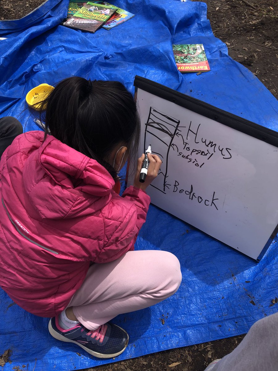 MsJWong1's tweet photo. Love our outdoor forest trips. Seeing students make connections to what we are learning about in class is the best! Thanks @KForestLearning for sharing your resources with us! #gr3science #soils https://t.co/doihc1kcWQ