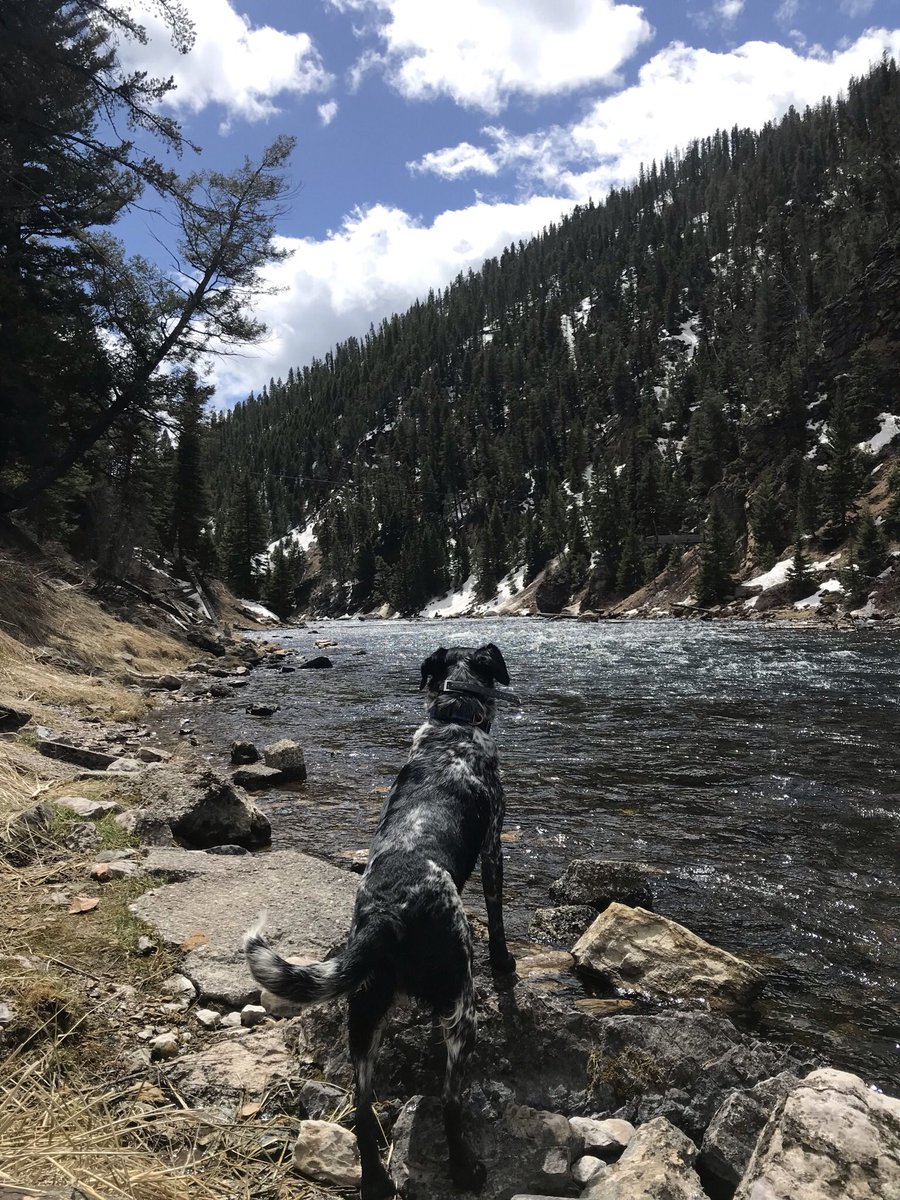 Blackcowboy (@lightskincowboi) on Twitter photo 