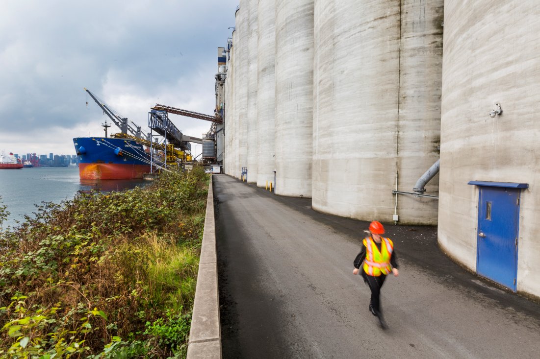 PortVancouver's tweet photo. It’s North American Occupational Safety &amp; Health Week #NAOSH. The port authority works hard to eliminate safety risks and health hazards for employees through a comprehensive health and safety program that helps prevent personal illness or injury to personnel and contractors. https://t.co/2e3AYYDHoF