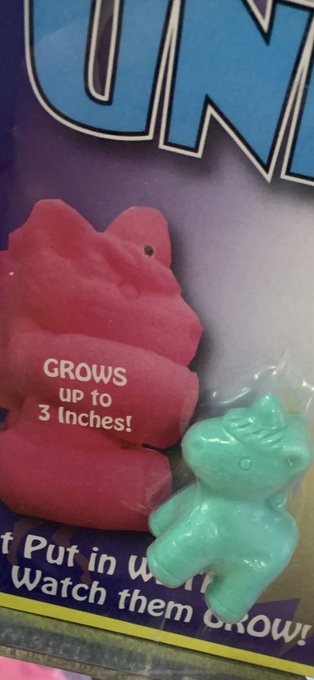 I&rsquo;m a growing unicorn 🥲🦄 https://t.co/PyDSVWOGo7