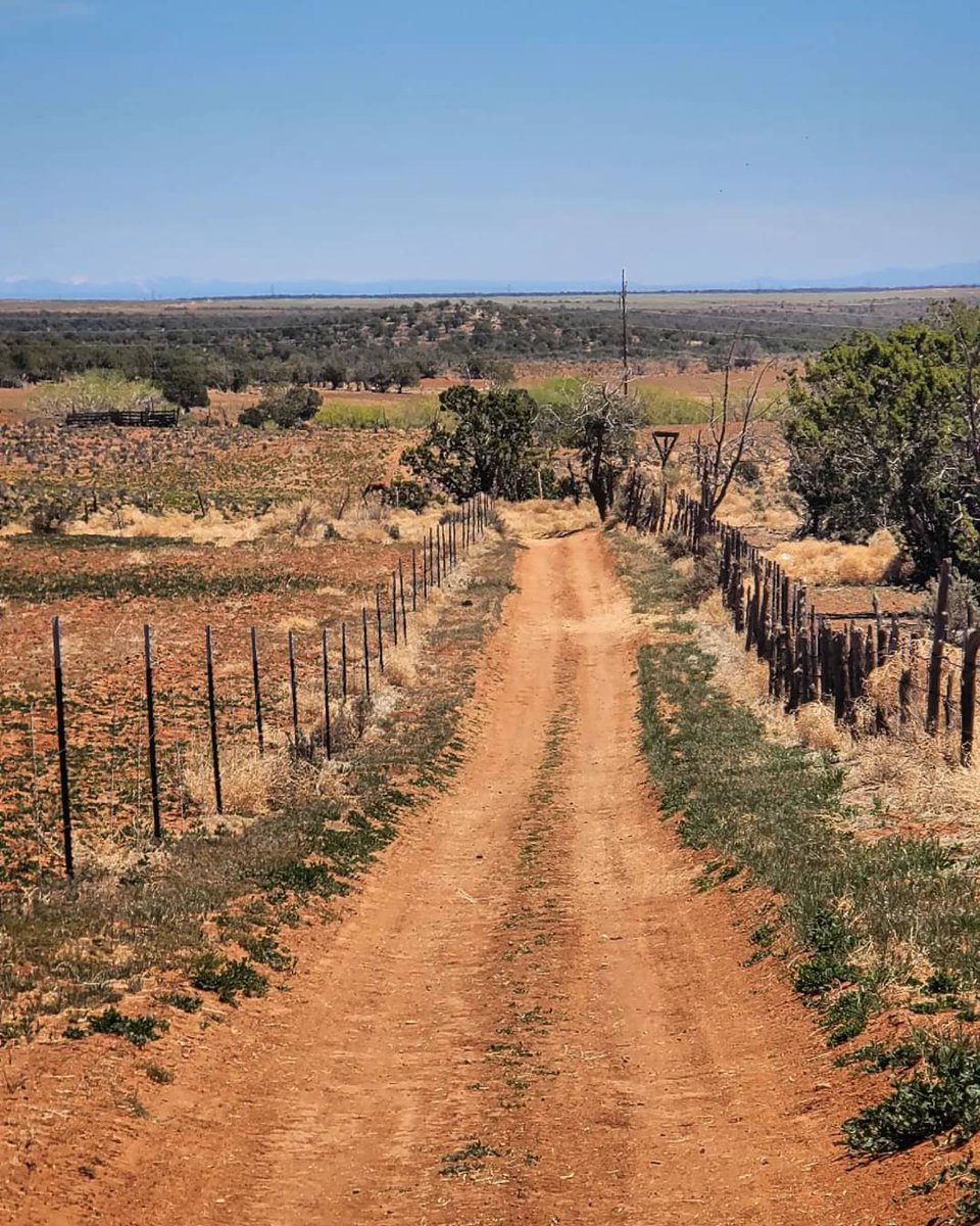 The Average Joe Runner tweet media