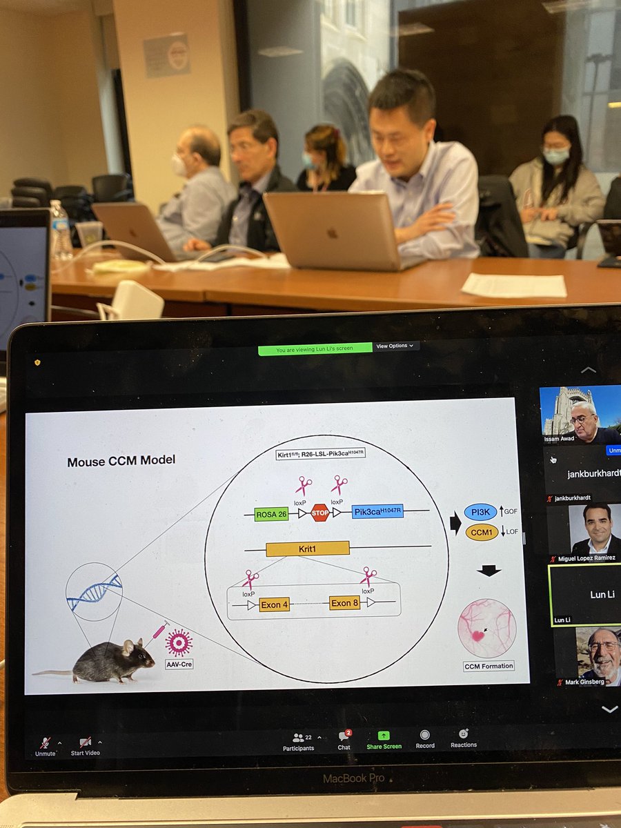 JanKarlBurkhar1's tweet photo. Productive PPG meeting #CCM #cavernoma #research in #Chicago with #IssamAwad #MarkKahn #DougMarchuk #MarkGinsberg #HelenKim #KellyFlemming…discussing results and new avenues for #cavernoma therapy @PennNSG @AngiomaAlliance Outstanding presentation from my postdoc Lun Li https://t.co/5PK8ROk3xD