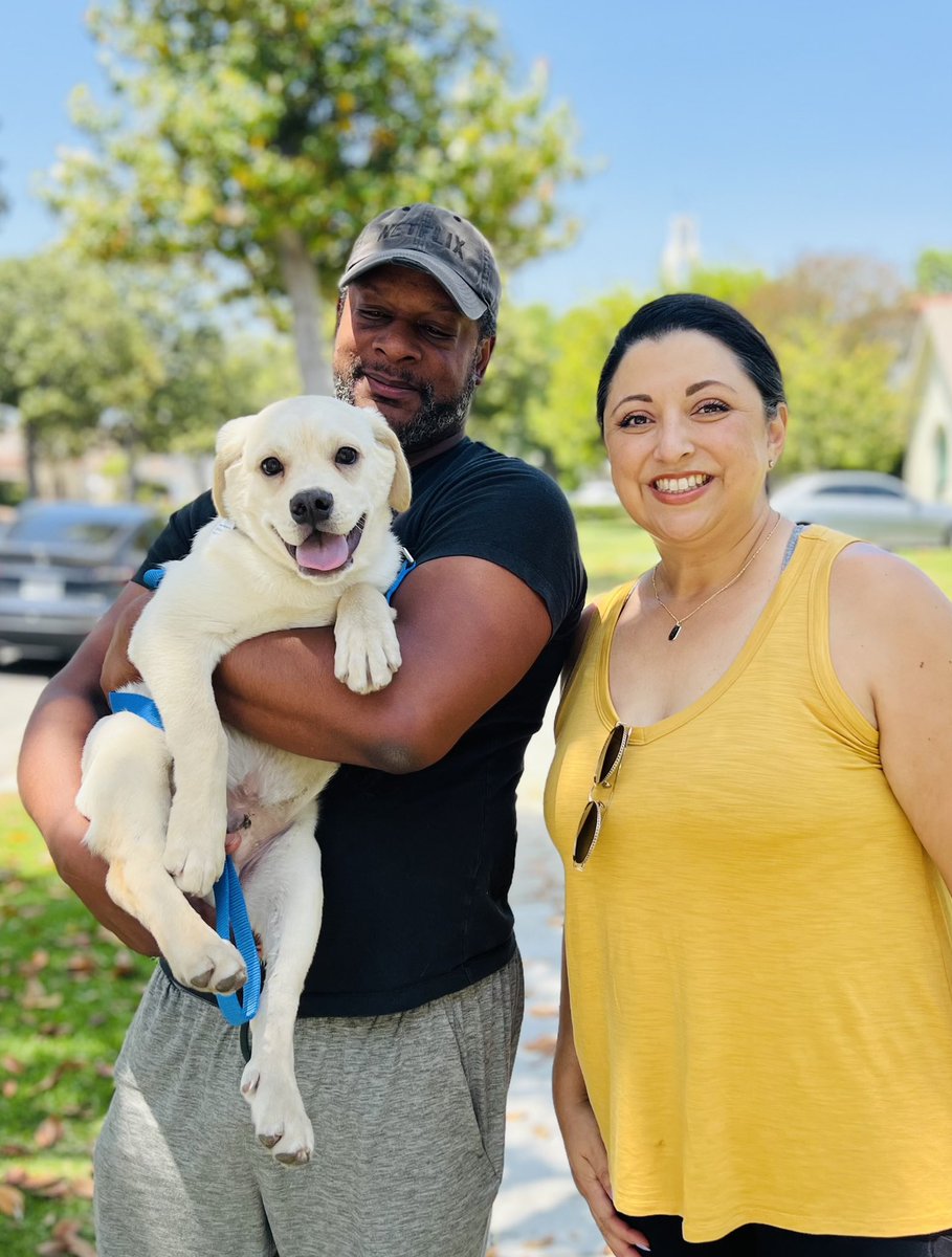 Congratulations to our sweet angel Pistachio on finding his perfect forever family. We are so happy for him.❤️

#istandwithmypack
#doggy #dogs #dog