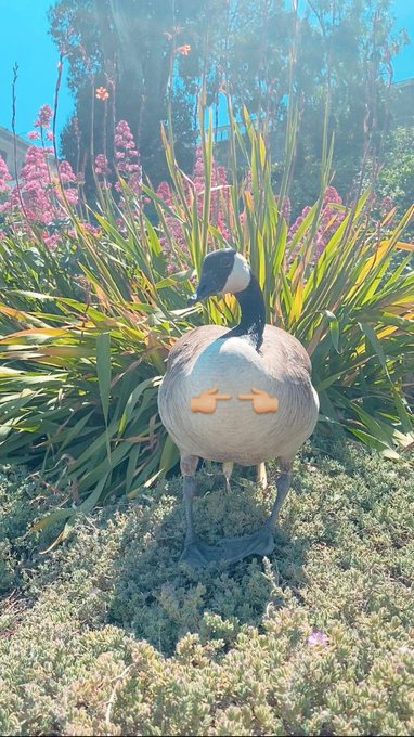 i miss you 🥺💕 https://t.co/Nenn1Q0eWA<a href="/tag/vancouver"class="tags"><span>#vancouver</span></a>