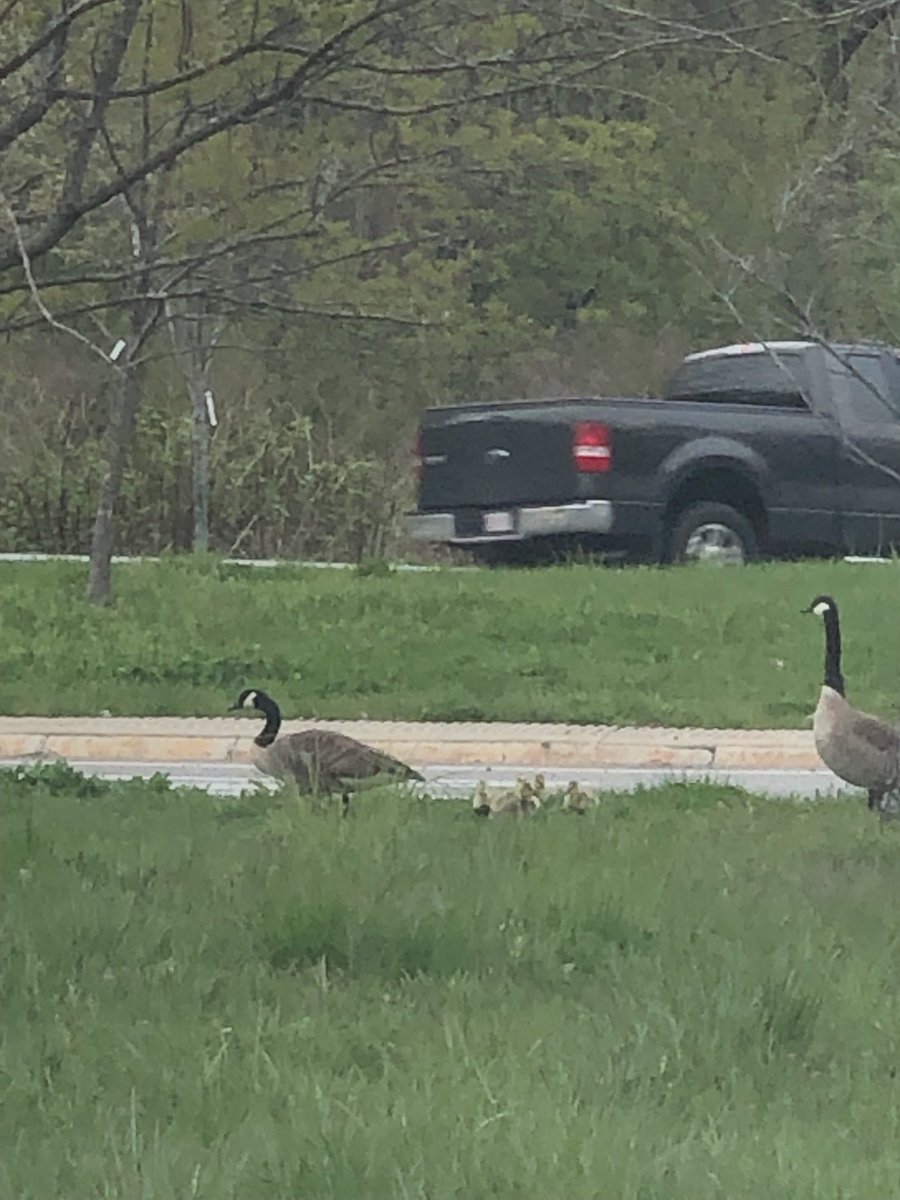 Ankur Pandya tweet media