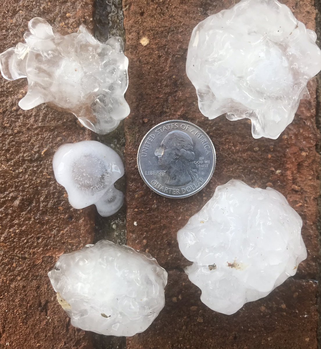 David Robbins tweet media