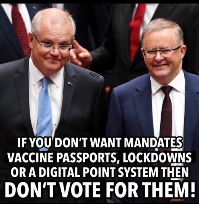 Frank Longshank tweet media