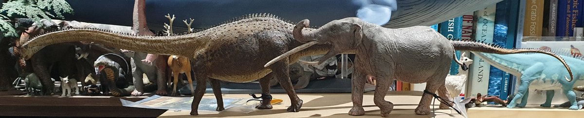 TetZoo's tweet photo. Big fan of @Eofauna! Now all I need is a bigger house... https://t.co/To7Eh8BfFz