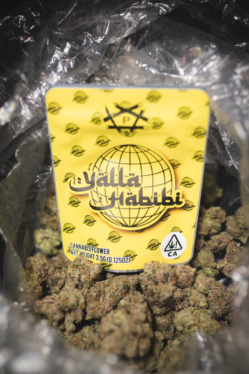 rmean's tweet photo. Nas said whatever this #yallahabibi weed is, this is the one! 😤⛽️ He ain’t lying. 

Now available at #CookiesMelrose and #BackpackboyzLA https://t.co/7NuvOd7KRl
