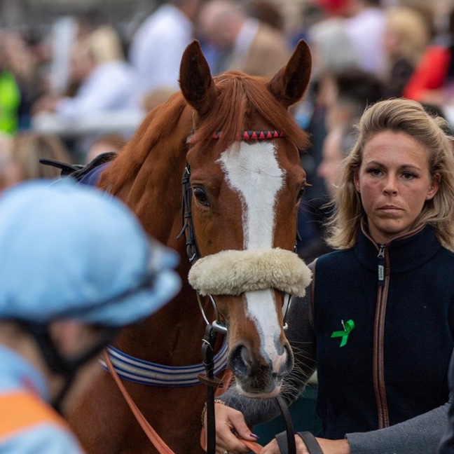 MprUpdates's tweet image. 🏇OUR GRADE 1 GIVEAWAY IS LIVE!🏇

To celebrate Marie's Rock's second Grade 1 victory, we are giving you the chance to win a free 2.5% share in our 9-time winner, AIRSHOW!

To enter, simply like and retweet this post and make sure you are following us.