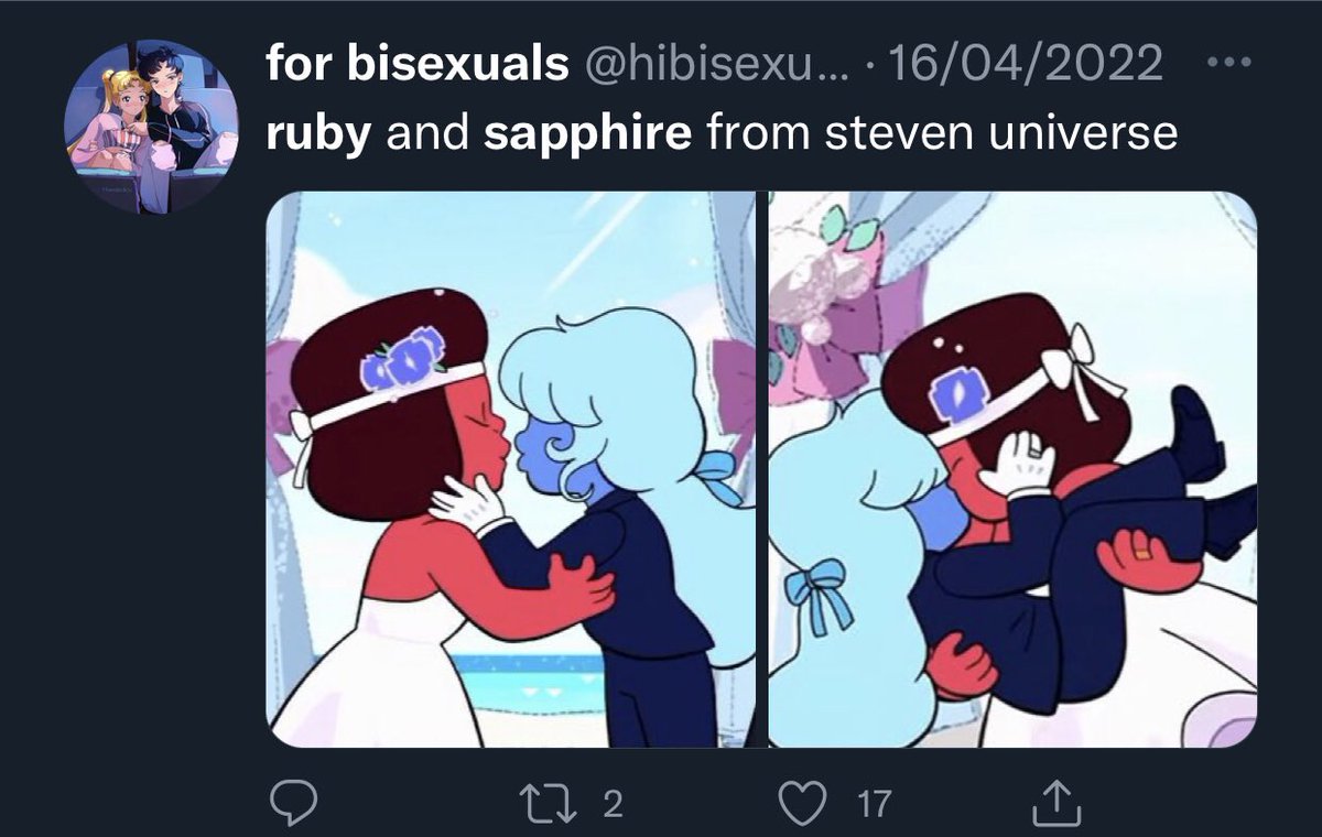 shuguriya's tweet photo. heyyy so uh i’m p sure the @//hibisexuals acc is lesbophobic id recommend unfollowing (everyone aside from bubblegum is a canon lesbian here and bubblegum is coded to be a lesbian) https://t.co/jfllT0BILw